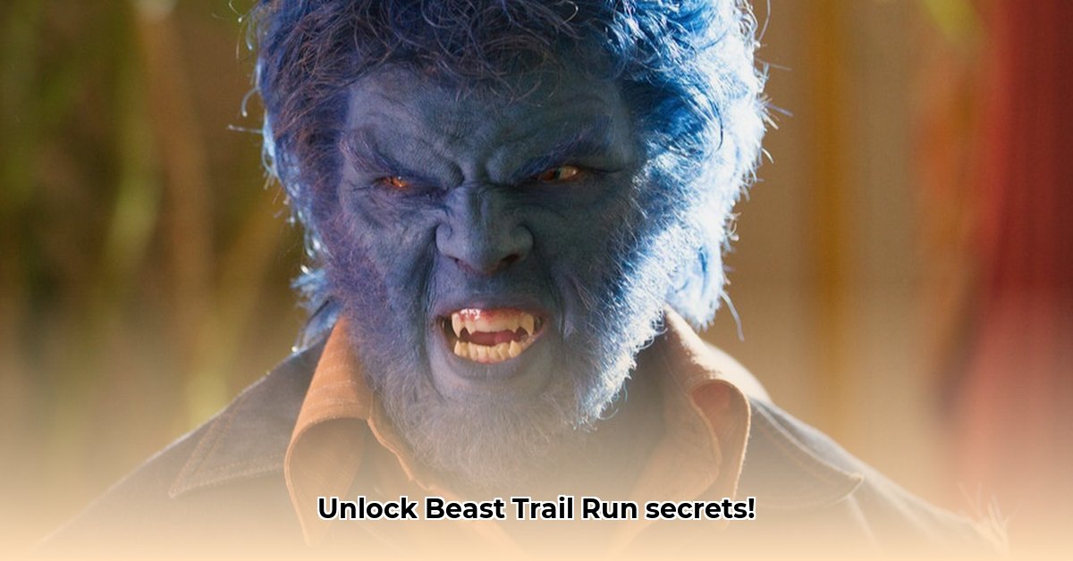 beast-trail-run
